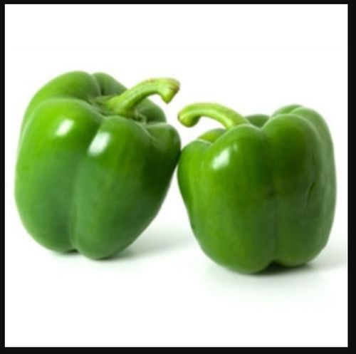 Export Quality 100% Pure Organic Farm Fresh Green Capsicum For Vegetables