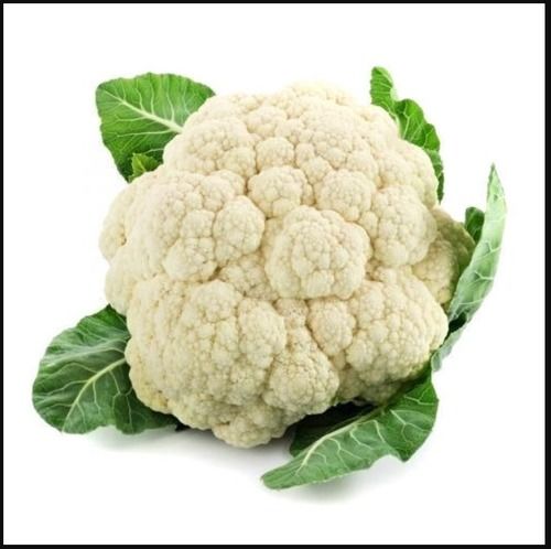 Natural Organic Farm Fresh Cauliflower For Vegetables With No Preservatives