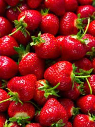 Fresh Strawberry - Organic Red, Whole Natural Size | Sweet Taste