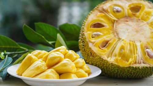 Jack Fruit