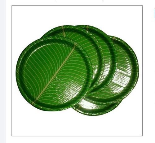 Used In Event And Party Supplies Multipurpose 10 Inch Round Shape Green Disposable Plate