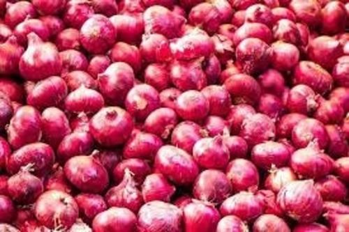 100% Pure Fresh And Natural Organic Round Shape Red Onion For Cooking Moisture (%): 86%