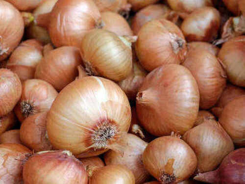 100% Pure Fresh And Natural Premium Quality Fresh Onions For Cooking