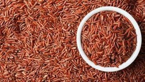 Best And Rich Premium Quality Red Rice 
