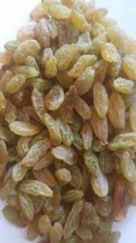 Healthy Tasty Fresh And Highly Nutritious Delicious Dried Golden Raisins