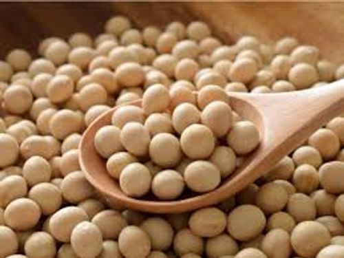 High Protein And Nutritional Natural High Quality Soybean 