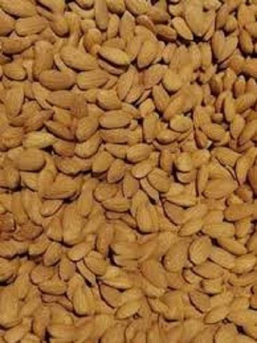 Natural And Germfree Highly Nutritious And Multipurpose Fresh Almond Nuts 