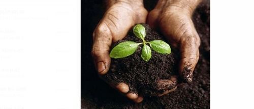 1 Kg Brown Vermicompost Fertilizer For Agriculture Use