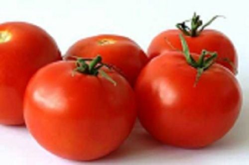 Round A Grade Healthy Vitamins And Minerals Pure Red Farm Fresh Tomato