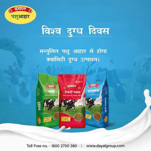 Free From Impurities And Chemical Free Highly Nutritious Natural Dayal Cattle Feed Ash %: 2%