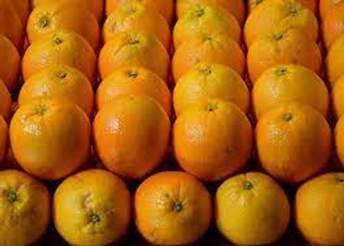 Fresh And High In Vitamin C Handpicked Sweet Juicy Nagpur Box Packed Oranges