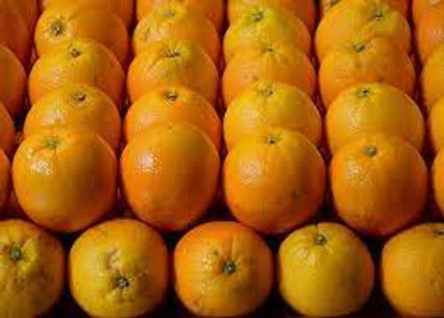 Mouthwatering Fruit A Grade Fresh Maharashtra Nagpur Box Packed Oranges