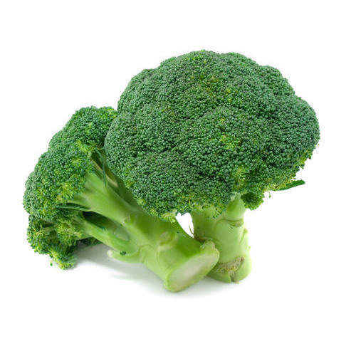 High In Fiber And Vitamins A Grade Healthy Minerals Rich Fresh Green Broccoli 