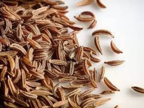 Nutritious And Pleasant Fragranced Dried Caraway Seeds 