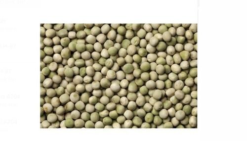 Purity 98 Percent Round Natural Dry Green Pea Seed, Moisture 11%  Admixture (%): 2%