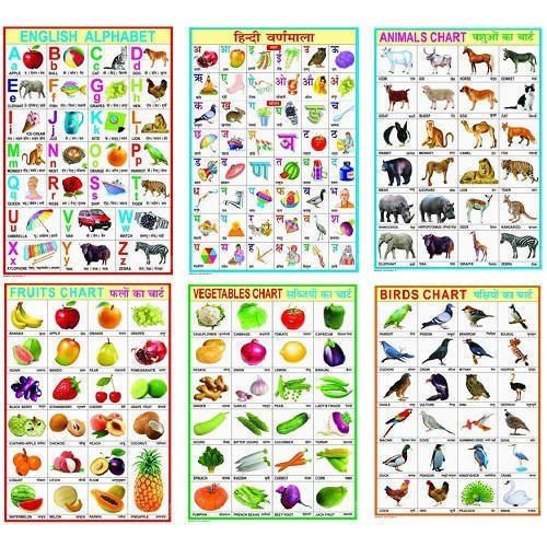 70 X 100cms, White Single Side Laminated English Different Educational Charts