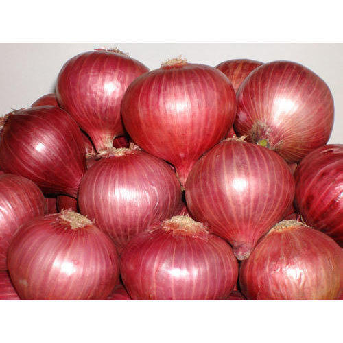 86% Moisture Raw Round Shaped Containing Farm Fresh Red Onion