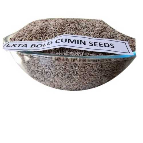 Extra Bold Cumin Seed In Natural Color For Cooking Usage