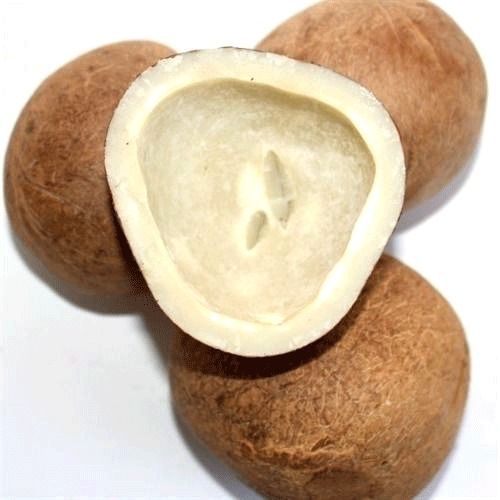 Common Health Benefits, Nutritious And Natural A Grade Minerals Rich Brown Dry Coconut Copra