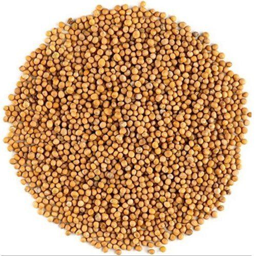 Organic No Artificial Flavor 100% Pure, Rich Flavor And Aroma Dried Yellow Mustard Seeds 