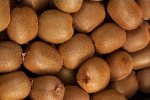 Price Organic Kiwifruit + Wholesale buying and selling - Arad Branding