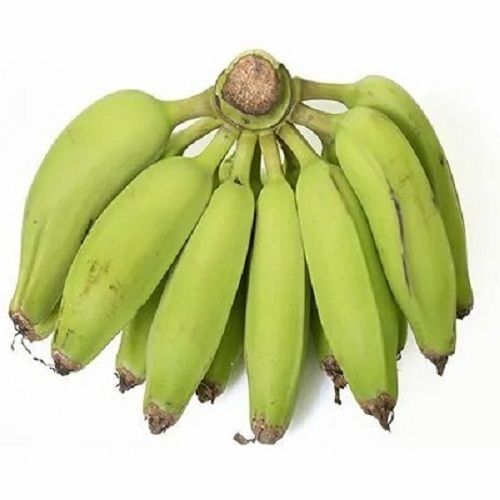 A Grade 100% Pure Farm Fresh Green Healthy Cavendish Banana