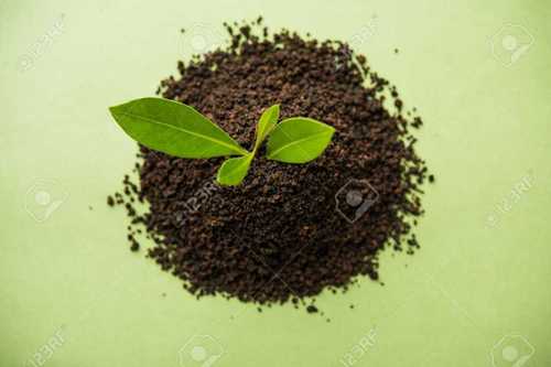 Masala Tea Powder In Granules Form, Light Black And Brown Color