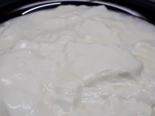 100% Pure And Fresh Natural White Curd With Healthy Natural Taste, No Additional Preservatives Age Group: Old-Aged