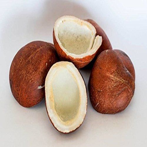 Round Shape Semi Husked Brown Dried Matured Copra Coconut