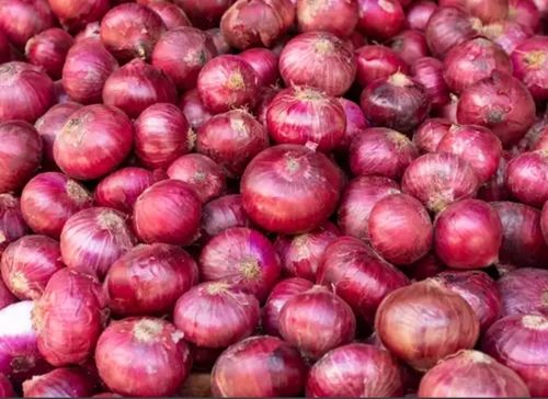 Good For Health Pesticide Free No Artificial Flavour Round Red Onion For Cooking