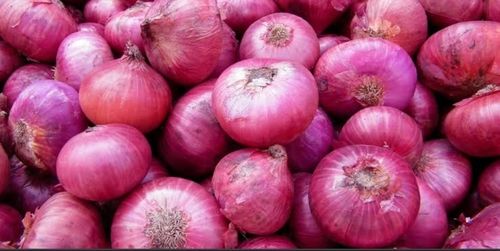 Good Source Of Vitamin C Vitamin B6 And Potassium Dry Red Onion For Cooking Moisture (%): 12%