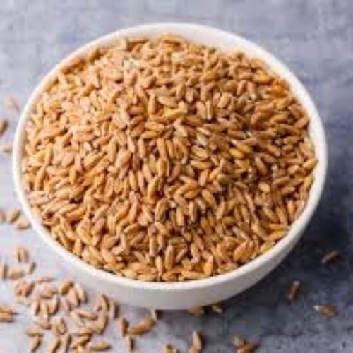 Organic Wheat For Food Industries, 327 Calories (Per 100 G) Golden Brown Color