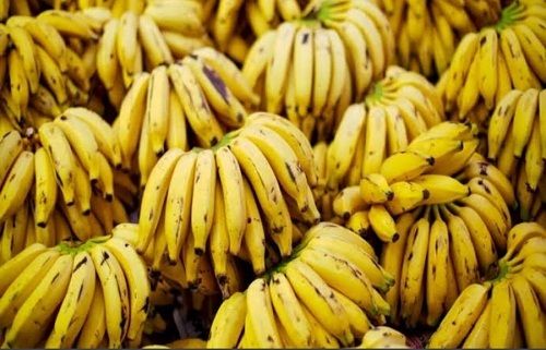 Common 100 Percent Delicious And Fresh Yellow Color Sweet Banana, Good For Health 