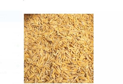 100% Organic And Fresh Golden Raw Paddy Rice Used For Starch And Rice Flour