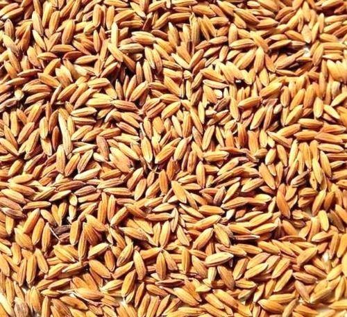 100% Organic And Hybrid Brown Paddy Seed Use Of Rice Residue As Fodder