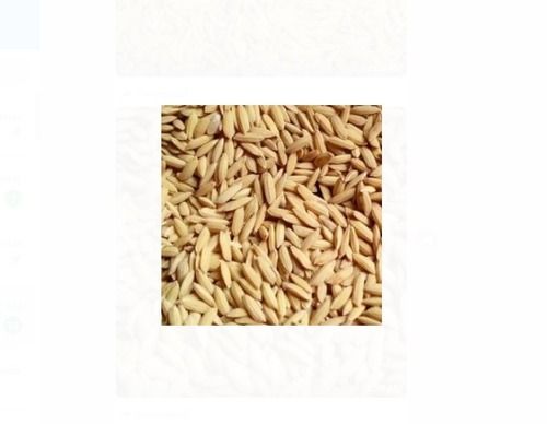 50 Kg Organic And Fresh Brown Paddy Rice Used For Starch And Rice Flour