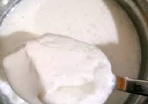 Easy To Digest Smooth And Creamy Texture Rich In Calcium White Fresh Curd Age Group: Old-Aged