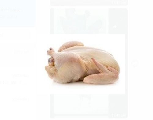 Highly Nutrient Enriched 100% Pure Fresh Whole Halal Cut Chicken For Cooking