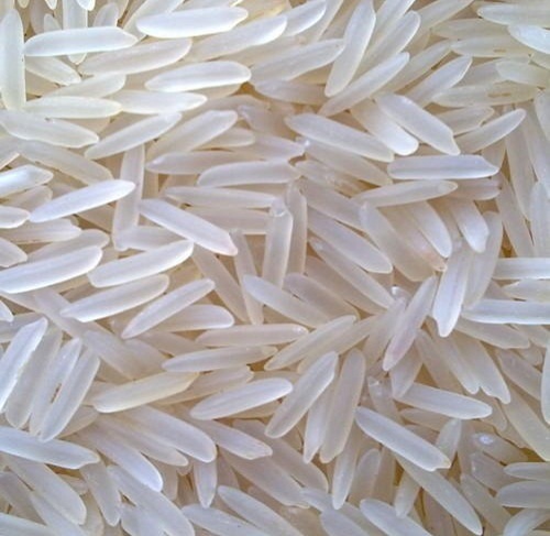 Organic Natural White Rice - Medium Grain, White Color, 97% Purity | Gluten Free, High in Protein, No Additives, Dried for Cooking