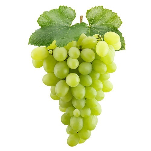 Refreshing Seedless Crunchy And Sweet.Green Grapes 