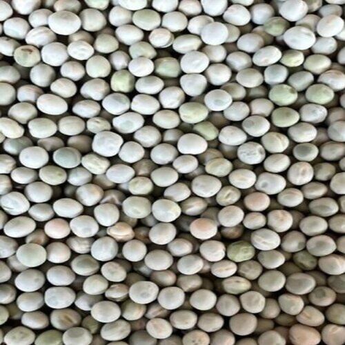 1 Kilogram Packaging Size 100% Pure Commonly Cultivated Whole Dried Green Peas