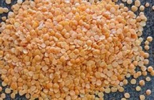 100% Pure And Fresh Rich Source Of Protein, Carbohydrates And Fibre, High Nutritious Masoor Dal Admixture (%): 1%