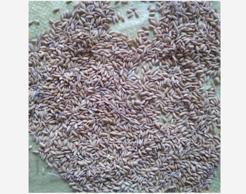 Brown Paddy Rice Enriched With Heart Healthy Components Like Minerals, Antioxidants And Dietary Fiber