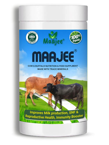 Maajee Cattle Feed Nutrition Supplement For Improvement Of Milk Yield, Fat And Snf Content  Efficacy: Promote Growth