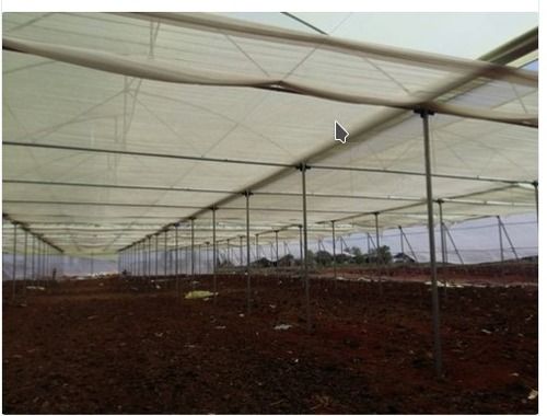 Polyester Modular Polyhouse For Agriculture With 4.5 Meter Central Height Greenhouse Size: Large