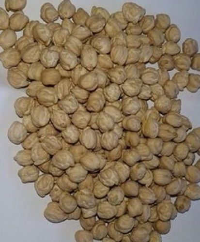 Rich In Antioxidant 100% Organic And Pure Dried Whole Kabuli Chana Admixture