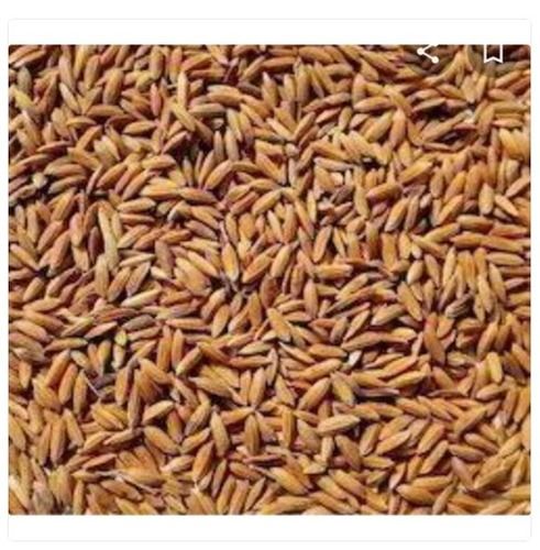 स्टार्च और चावल के आटे के लिए इस्तेमाल किया जाने वाला 10 किलो 100% ऑर्गेनिक और ताजा कच्चा धान चावल 