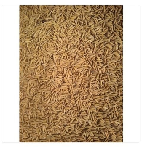 50 Kg Organic And Fresh Brown Paddy Rice, Used For Starch And Rice Flour Admixture (%): 1%