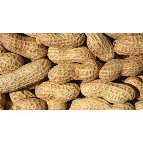 Delicious Healthy Indian Origin Naturally Grown Vitamin Enriched And Roasted Groundnuts