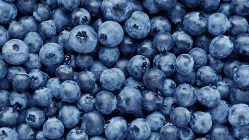 Blue Naturally Grown Farm Fresh Healthy Vitamins Minerals And Antioxidants Enriched A Grade Nutritious Tasty Blueberries